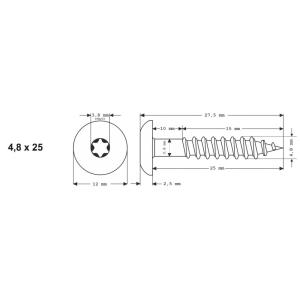 100 x MEISTERLING® FASSADENSCHRAUBEN INOX V2A 4,8 x 25 MM FLACHKOPF TORX T20 UNLACKIERT + 1 BIT Bild 2