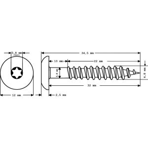 100 x MEISTERLING® FASSADENSCHRAUBEN INOX V2A 4,8 x 32 MM FLACHKOPF TORX T20 DUNKELBRAUN + 1 BIT Bild 2
