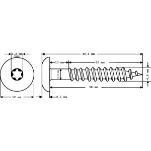 100 x MEISTERLING® FASSADENSCHRAUBEN INOX V2A 4,8 x 38 MM FLACHKOPF TORX T20 WEISS + 1 BIT Bild 2