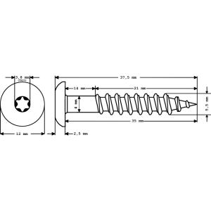 100 x MEISTERLING® FASSADENSCHRAUBEN INOX V4A 5,5 x 35 MM FLACHKOPF TORX T20 UNLACKIERT + 1 BIT Bild 2