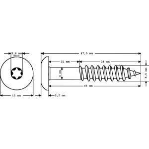 100 x MEISTERLING® FASSADENSCHRAUBEN INOX V4A 5,5 x 45 MM FLACHKOPF TORX T20 HELLGRAU  + 1 BIT Bild 2