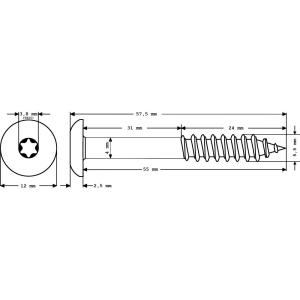 100 x MEISTERLING® FASSADENSCHRAUBEN INOX V4A 5,5 x 55 MM FLACHKOPF TORX T20 OXIDROT + 1 BIT Bild 2