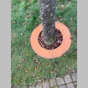 Baumring Cortenstahl Edelrost Ø50 cm, Ø30 cm innen – Schutz für Bäume & Garten Bild 8