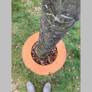 Baumring Cortenstahl Edelrost Ø50 cm, Ø30 cm innen – Schutz für Bäume & Garten Bild 9