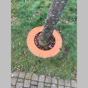 Baumring Cortenstahl Edelrost außen Ø75 cm -  Ø45 cm innen – Schutz für Bäume & Garten Bild 7
