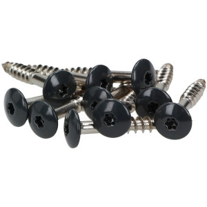 100 x MEISTERLING® FASSADENSCHRAUBEN INOX V4A 4,8 x 20 MM FLACHKOPF TORX T20 ANTHRAZIT + 1 BIT