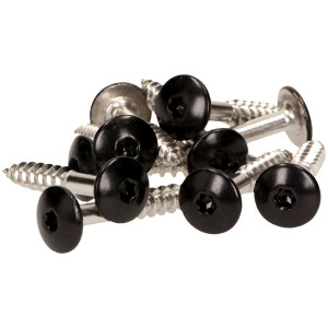 100 x MEISTERLING® FASSADENSCHRAUBEN INOX V4A 4,8 x 20 MM FLACHKOPF TORX T20 SCHWARZ + 1 BIT