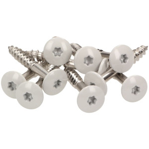 100 x MEISTERLING® FASSADENSCHRAUBEN INOX V4A 4,8 x 20 MM FLACHKOPF TORX T20 HELLGRAU + 1 BIT