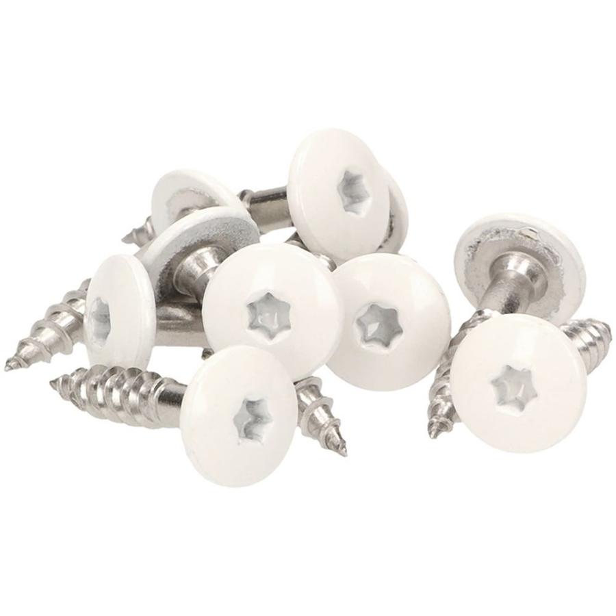 100 x MEISTERLING® FASSADENSCHRAUBEN INOX V2A 4,8 x 38 MM FLACHKOPF TORX T20 WEISS + 1 BIT