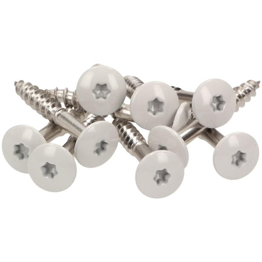 100 x MEISTERLING® FASSADENSCHRAUBEN INOX V2A 4,8 x 38 MM FLACHKOPF TORX T20 HELLGRAU + 1 BIT