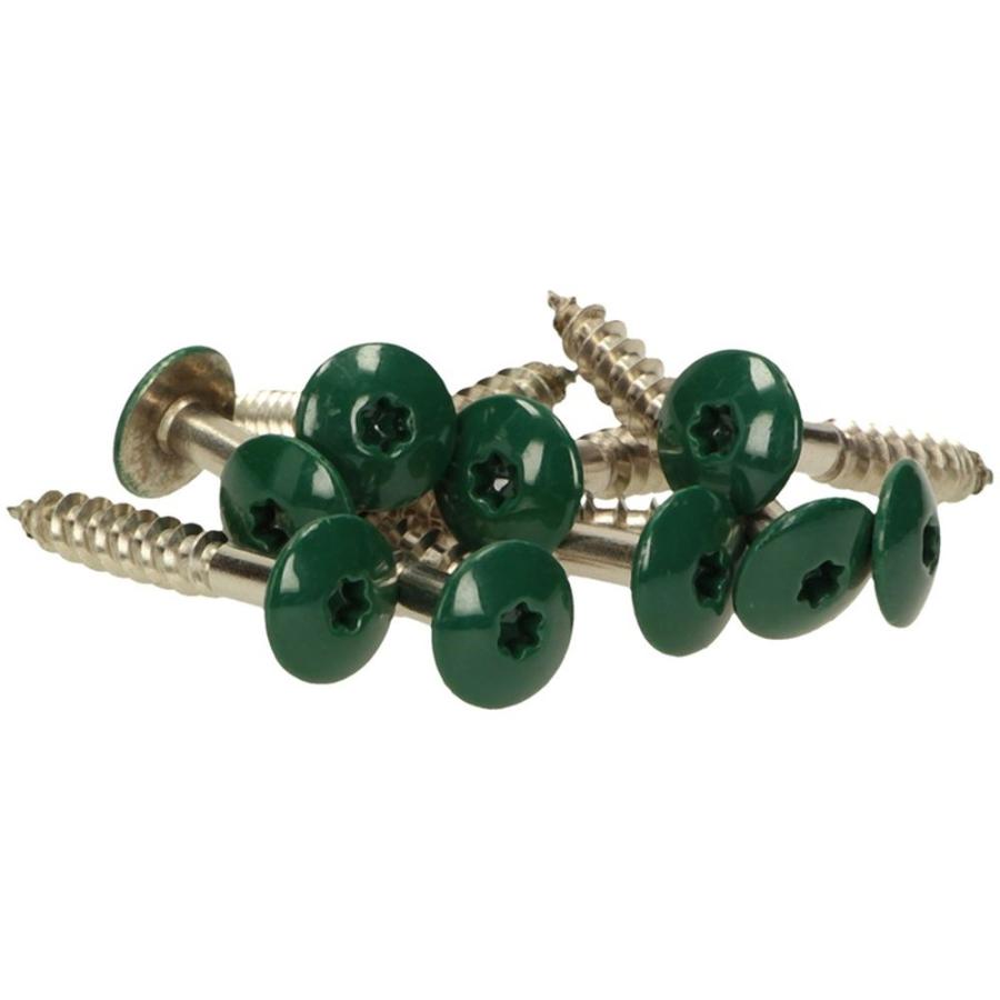 100 x MEISTERLING® FASSADENSCHRAUBEN INOX V2A 4,8 x 38 MM FLACHKOPF TORX T20 DUNKELGRÜN + 1 BIT