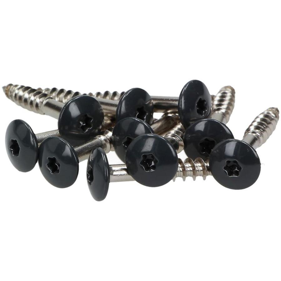 100 x MEISTERLING® FASSADENSCHRAUBEN INOX V4A 5,5 x 25 MM FLACHKOPF TORX T20 ANTHRAZIT + 1 BIT