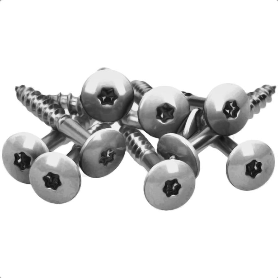 100 x MEISTERLING® FASSADENSCHRAUBEN INOX V4A 5,5 x 35 MM FLACHKOPF TORX T20 UNLACKIERT + 1 BIT