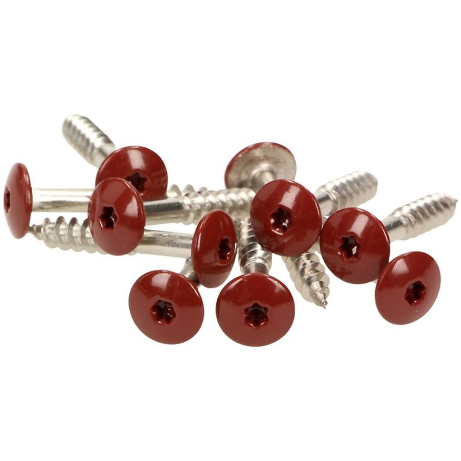 100 x MEISTERLING® FASSADENSCHRAUBEN INOX V4A 5,5 x 55 MM FLACHKOPF TORX T20 OXIDROT + 1 BIT